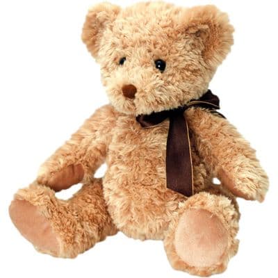 Personalised  Teddy Bear -  Sherwood Medium