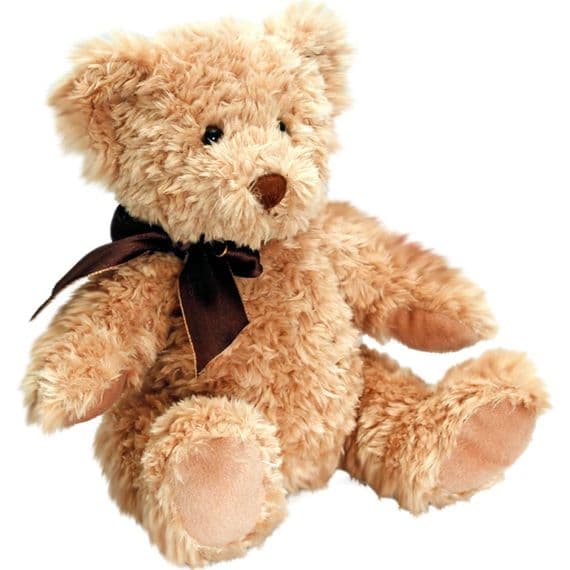 Personalised Sherwood Teddy - Teddy  Bears | Personalisedbears
