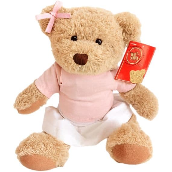 Personalised Traditional Teddy Bear - Custom Handmade Soft Plush | Personalised Bears