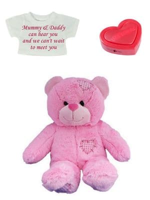 Personalised Voice Recorder Bear - Pink