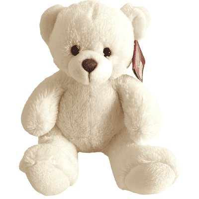 Personalised  White Teddy