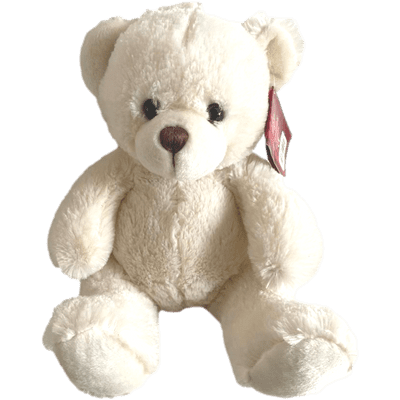 Personalised  White Teddy