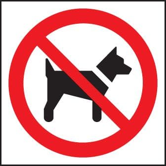 13602N No dogs (symbol) Rigid Plastic (400x400mm) Safety Sign