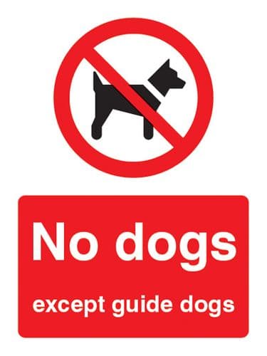 13603E No dogs except guide dogs Rigid Plastic (200x150mm) Safety Sign
