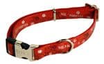 Envy Wild Forever Dog Collar - Modern Design Red