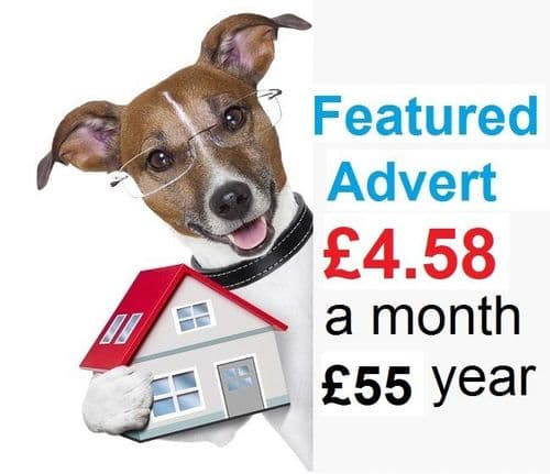 3. Pet Holiday Finder Featured listing