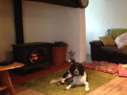 Blanketts Dog Friendly Cottage Williton, Somerset