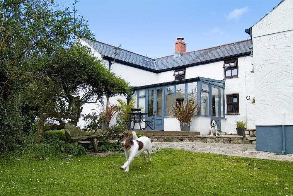 Bramble Cottage Dog Friendly Holidays Cornwall St Ives Pets Here