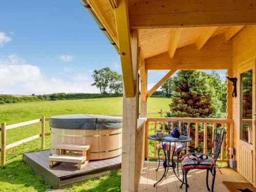 Cosy Cabin in Seaton Cornwall with dogs