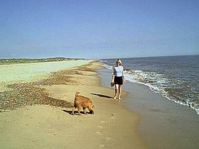 Dog Friendly Holidays Great Yarmouth