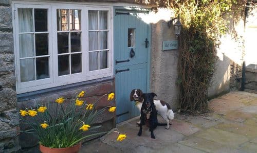 Dogs welcome accommodation Liskeard Cornwall