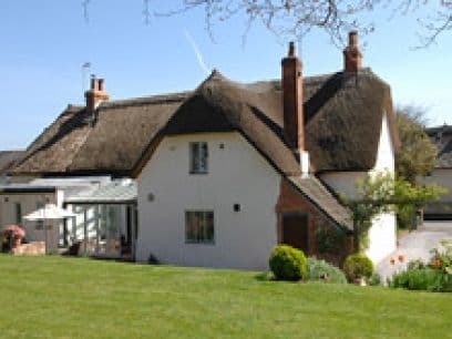 Dogs welcome accommodation Totnes