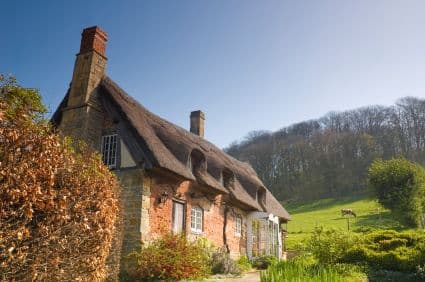 Example Dog Friendly Holiday Listing