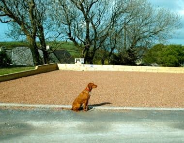 Golden Sands Holiday Park Caravans Dawlish Devon - Pets Welcome