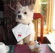 Hillcrest Guest house B&B Denbighshire