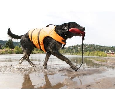 Holiday Dog Life jackets Safety Buoyancy Aid Jacket