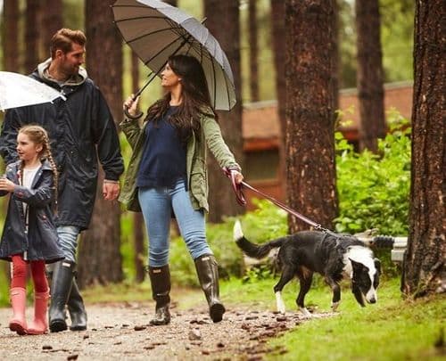 Holidays in the Forest with dogs