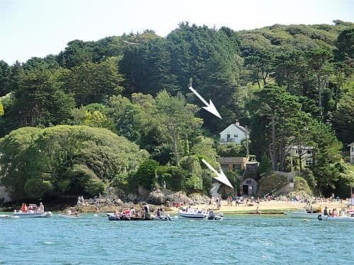 Kingsgrove pets-welcome cottage Salcombe South Devon