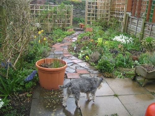 No35 Welsh Street Bishops Castle Shropshire