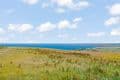 Dog Friendly Self-catering Nr Salcombe| Devon Pet Friendly Business