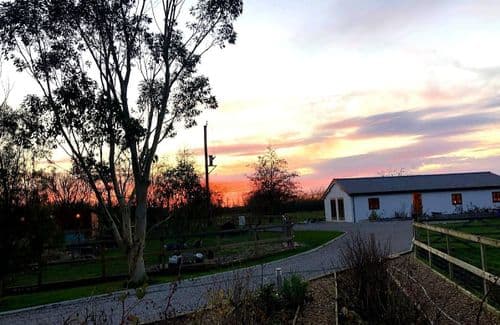 Peacock Barn dogs welcome cottage Wisbech | multi dogs