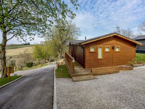 South Molton Cottage with dogs Devon