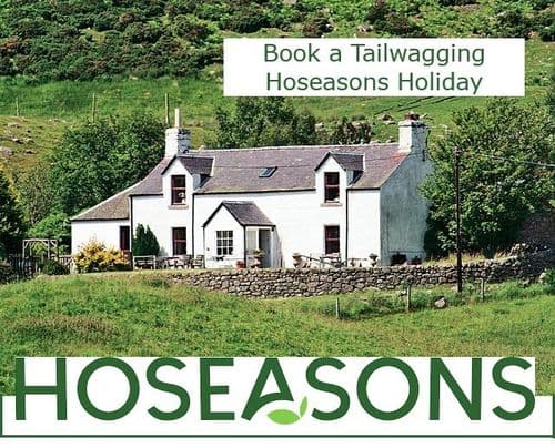 Tailwagging holidays for all seasons