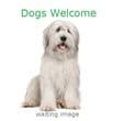 The Ickworth Dog Friendly Hotel Suffolk