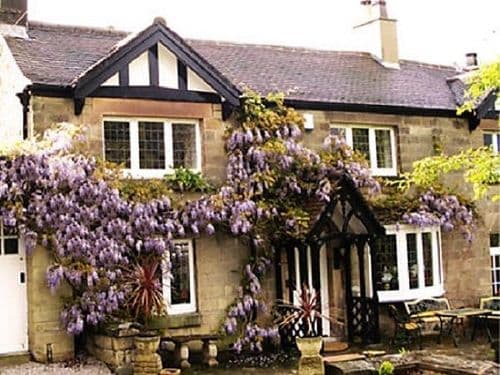 The Pines dog-friendly B and B Matlock Derbyshire