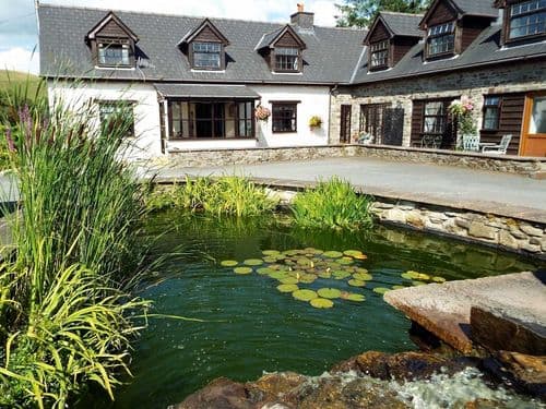 The Swan B and B Rhayader Powys