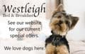 Westleigh dog friendly B and B Beer | stay with your pets