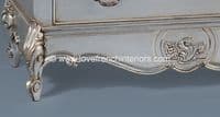 Louis Double Mirrored Armoire in Antique Silver