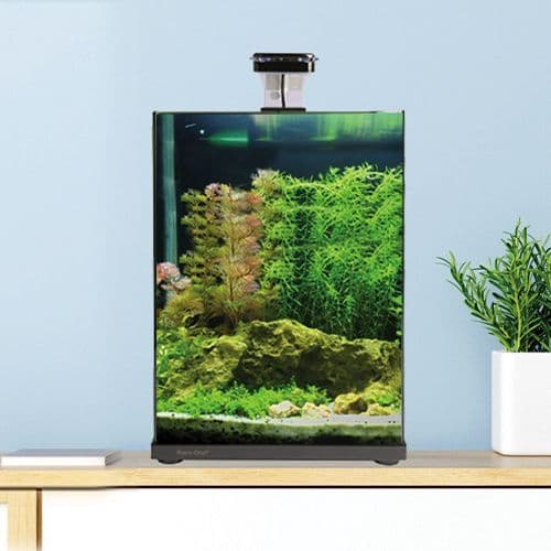 22 hinged glass canopy