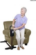 Couch Cane