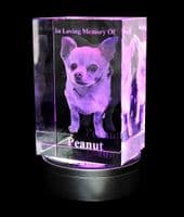 3D Photo Crystal Extra Large Eclipse 150x100x80mm