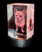 3D Photo Crystal Extra Large Eclipse 150x100x80mm