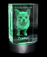 3D Photo Crystal Extra Large Eclipse 150x100x80mm