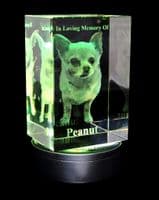 3D Photo Crystal Extra Large Eclipse 150x100x80mm