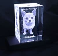 3D Photo Crystal Extra Large Eclipse 150x100x80mm