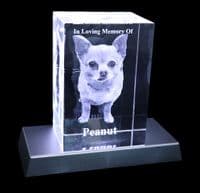 3D Photo Crystal Extra Large Eclipse 150x100x80mm