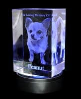 3D Photo Crystal Extra Large Eclipse 150x100x80mm