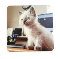 Photo Coaster