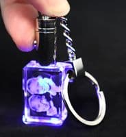Premium Gift Pack