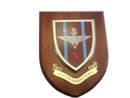 10th Parachute Regiment Military Wall Plaque Shield