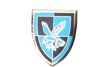 16 Air Assault Brigade Regimental Military Lapel Badge
