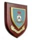 16 Squadron RAF Regiment Military Wall Plaque