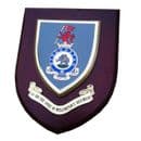 1st  Duke of Wellington's Regiment Military Wall Plaque