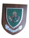 1st  Light Infantry Regimental Military Wall Plaque Shield