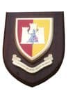 1st The Royal Anglian Regiment Military Wall Plaque Shield