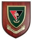 223 Signal Squadron Military Wall Plaque